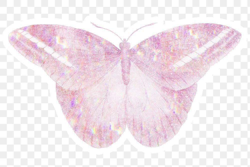 Pink holographic great occidental butterfly sticker with white border