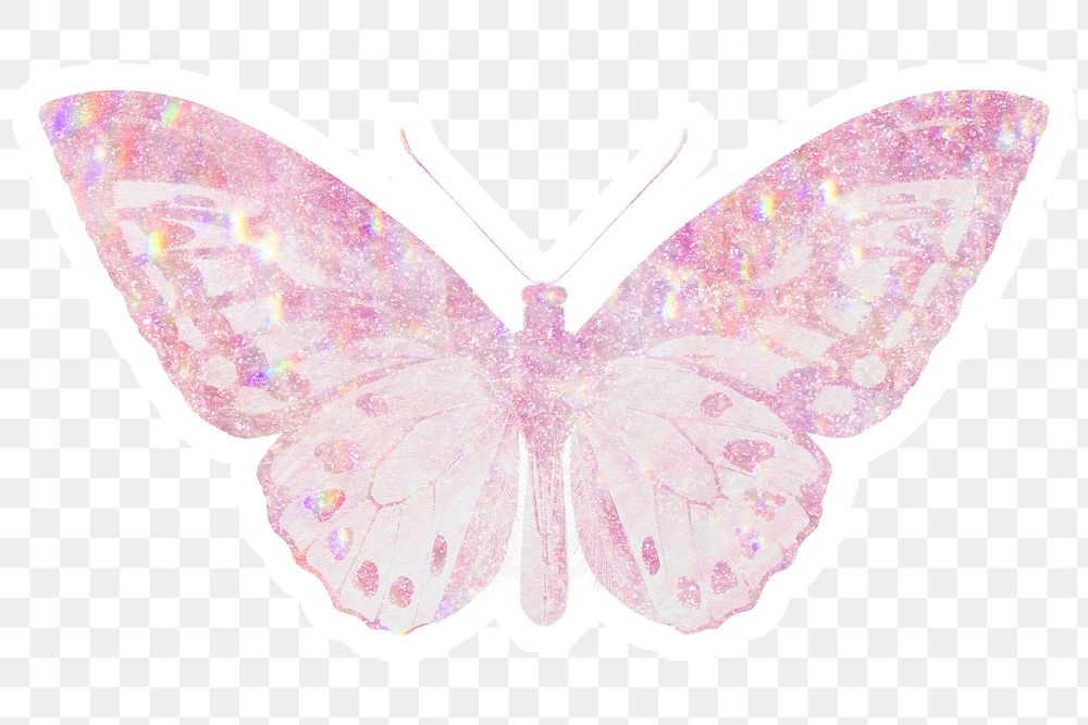 Pink holographic Ornithoptera priamus butterfly sticker with white border