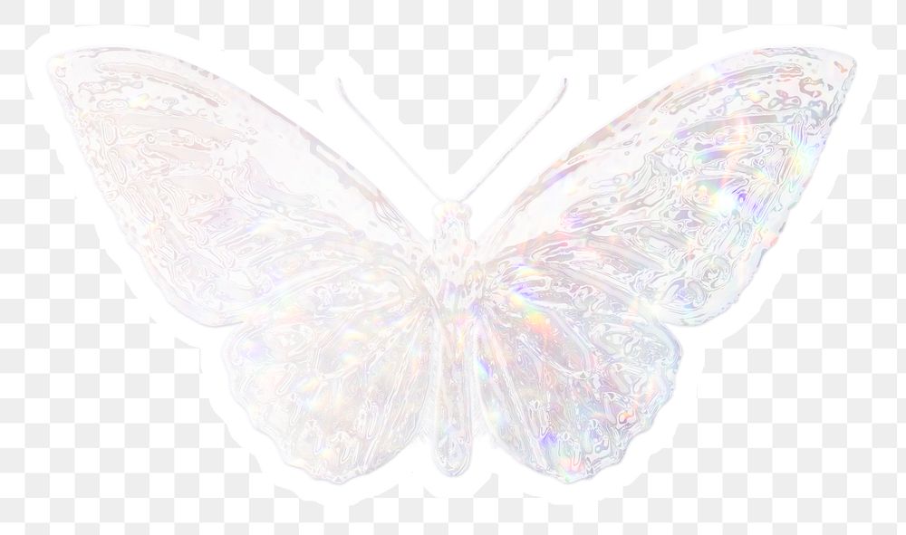 Silver holographic Ornithoptera priamus butterfly sticker with white border
