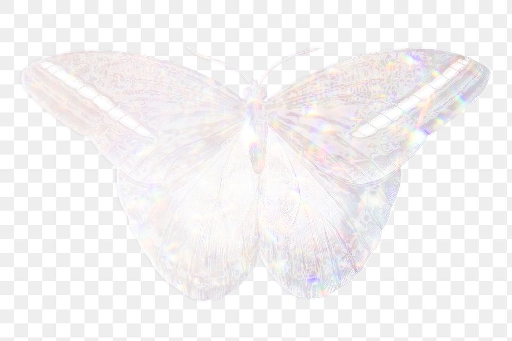 Silver holographic great occidental butterfly sticker