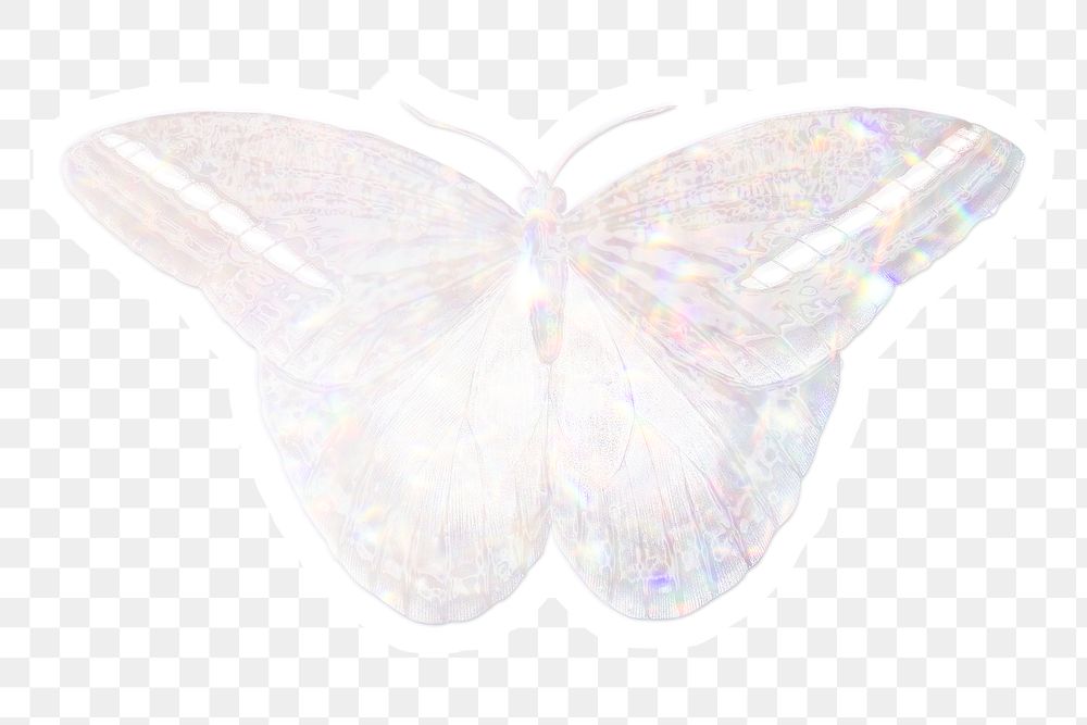 Silver holographic great occidental butterfly sticker with white border