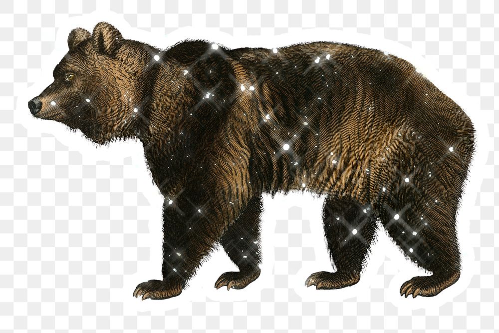 Hand drawn sparkling brown bear sticker with white border