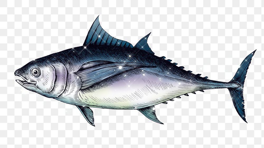 Sparkling tuna fish design element