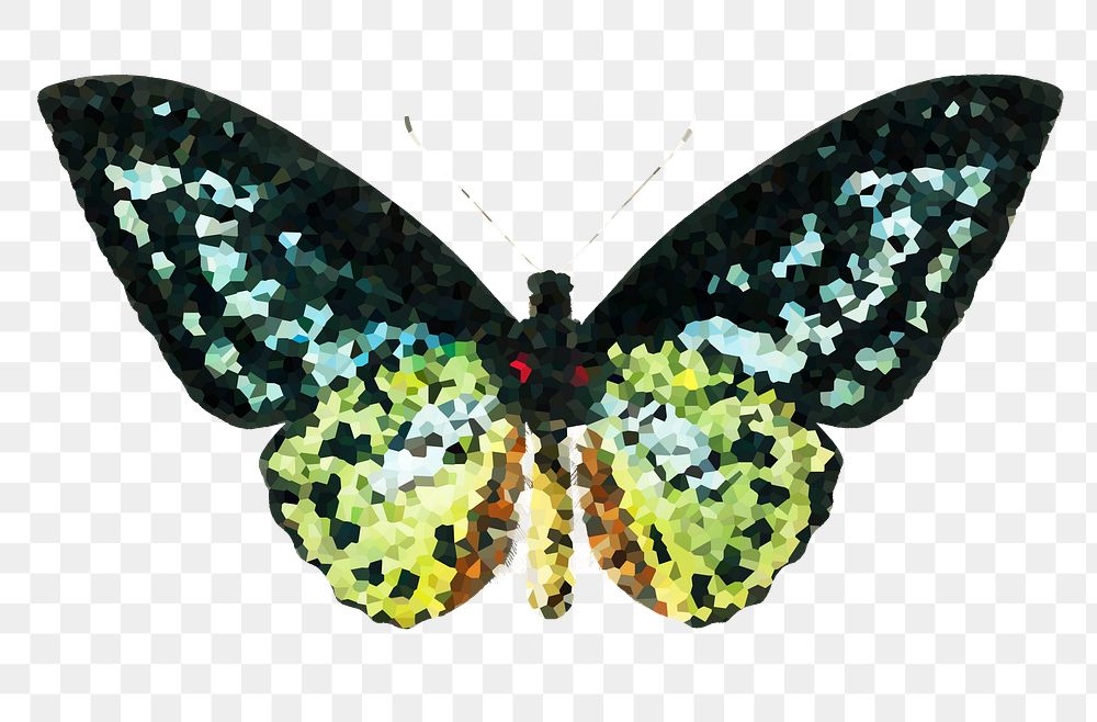 Crystallized green birdwing butterfly sticker overlay