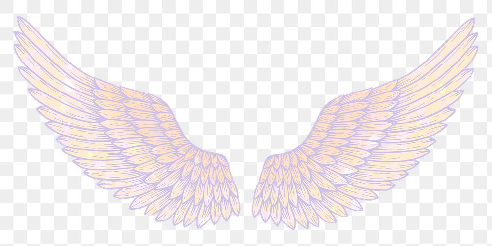 Creamy angel wings sticker overlay design element