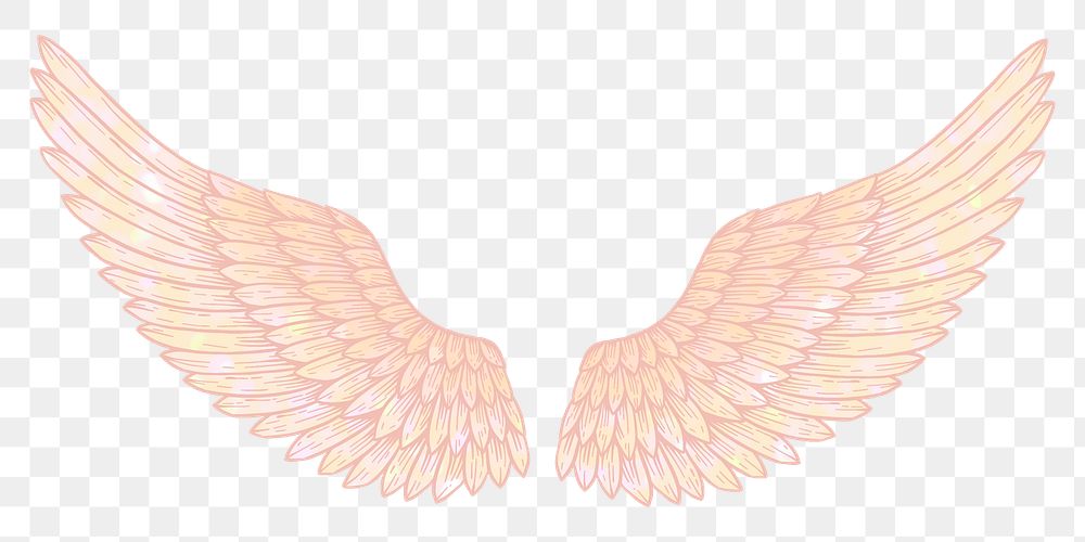 Peach angel wings sticker overlay design element 