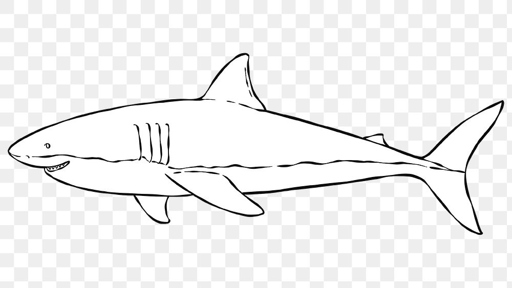 Hand drawn great white shark sticker png