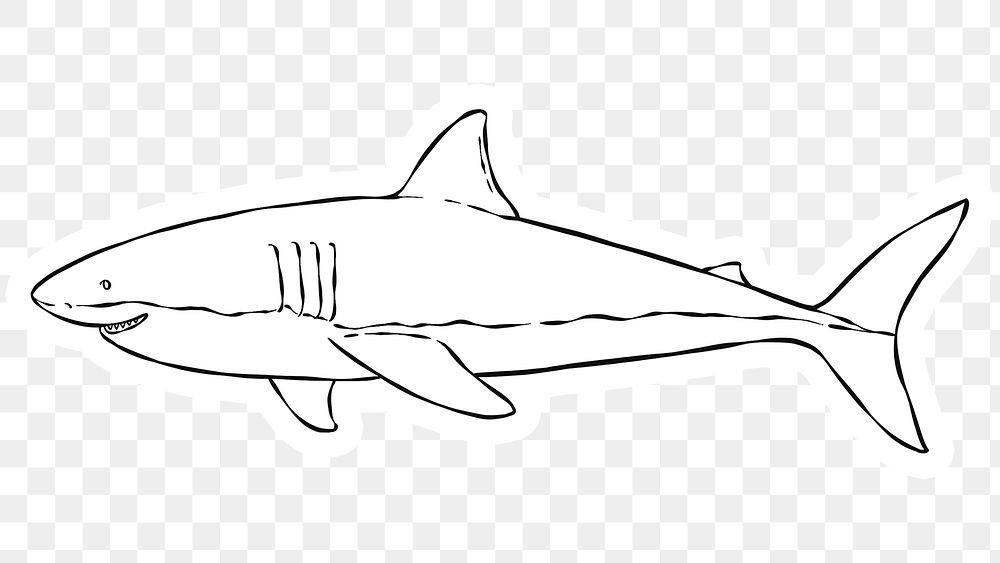 Great white shark sticker png