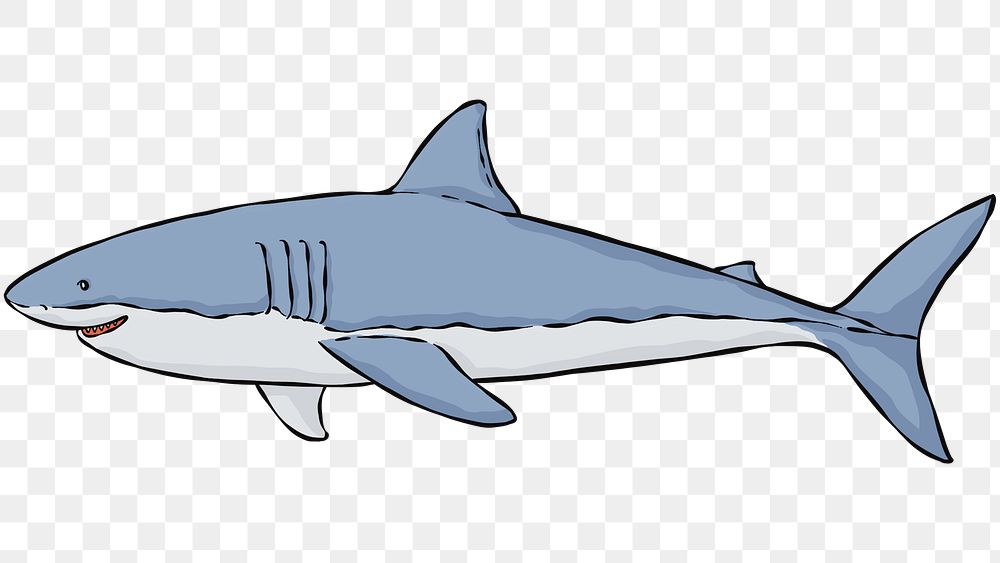 Great white shark sticker hand drawn png
