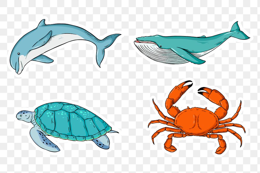 Png sea animal sticker set colorful clipart