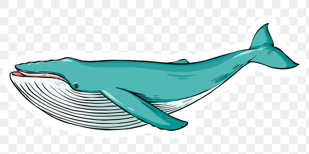 Vintage png hand drawn whale cartoon clipart