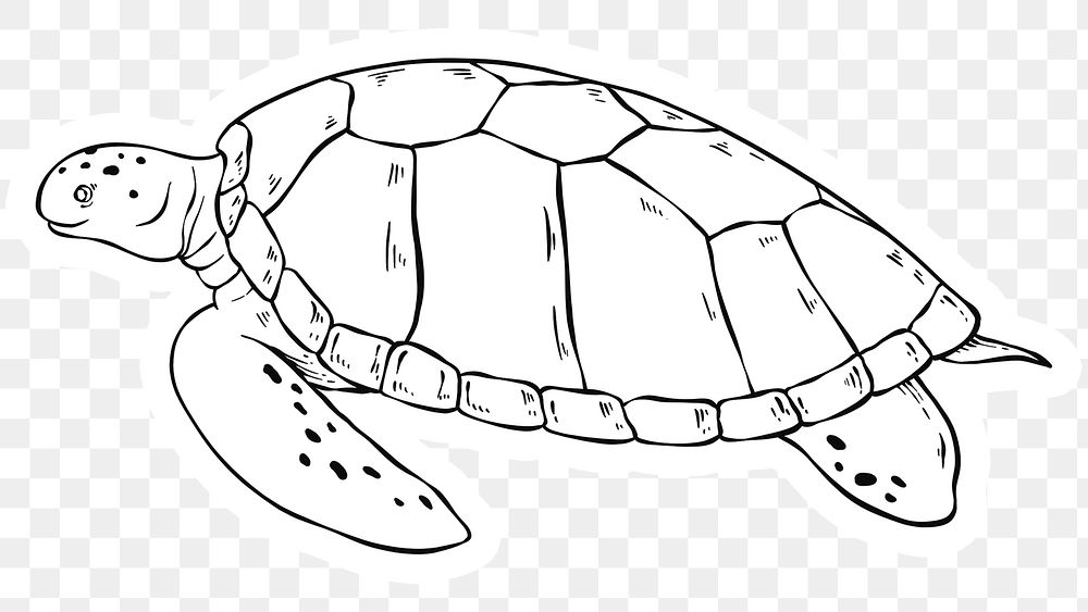 Turtle png vintage black and white clipart