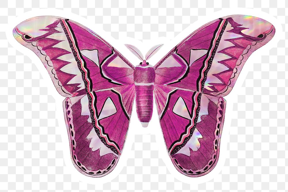 Pink moth with a white border sticker