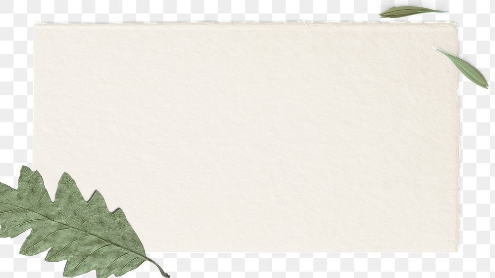 Leafy border png on a blank card