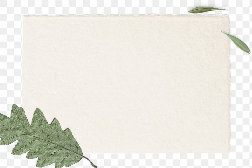 Green leafy border png on a blank card