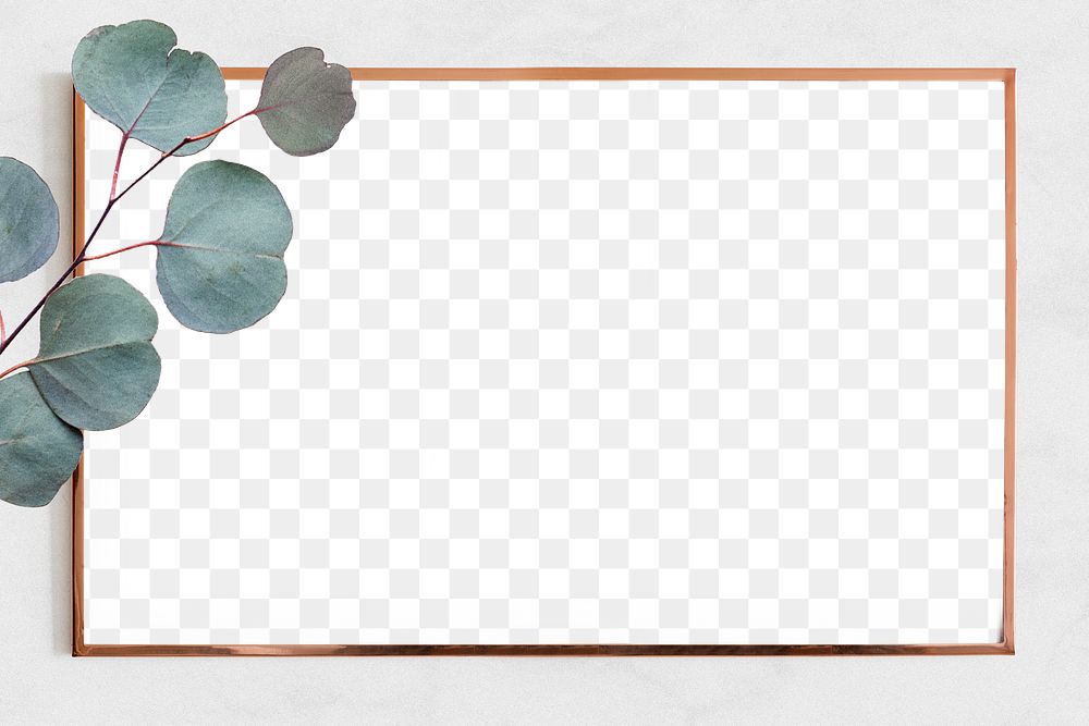 Png bronze eucalyptus frame transparent background