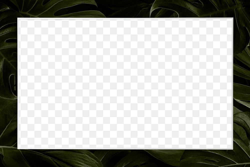 Blank green leafy png frame