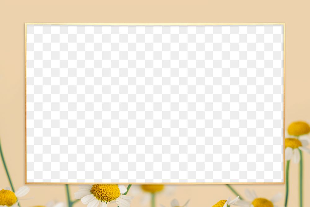 Gold daisy frame design element 