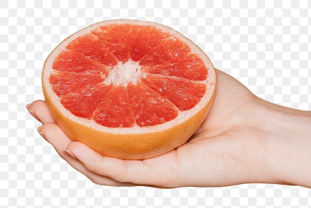 Hand holding natural fresh grapefruit design element
