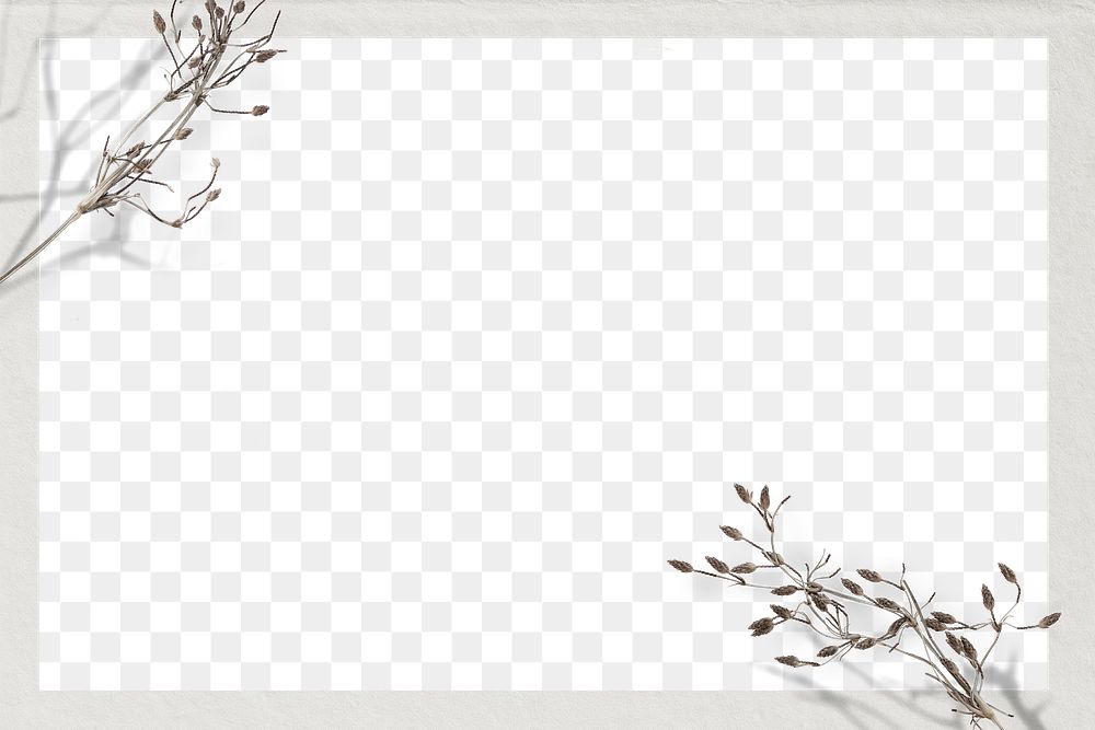 Dry flower twig png wallpaper