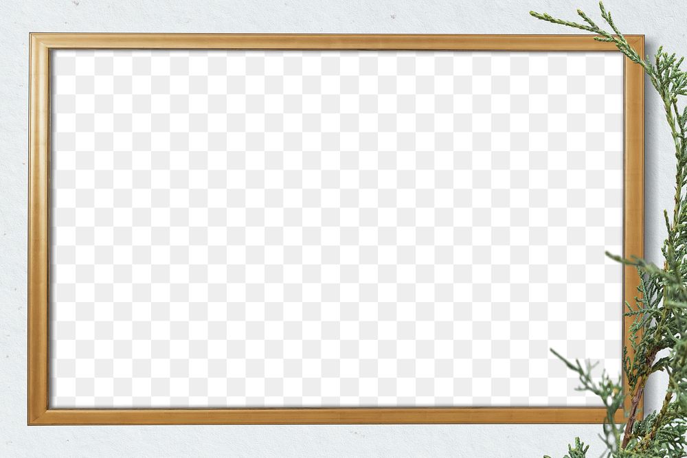 Spruce twig frame png gray background