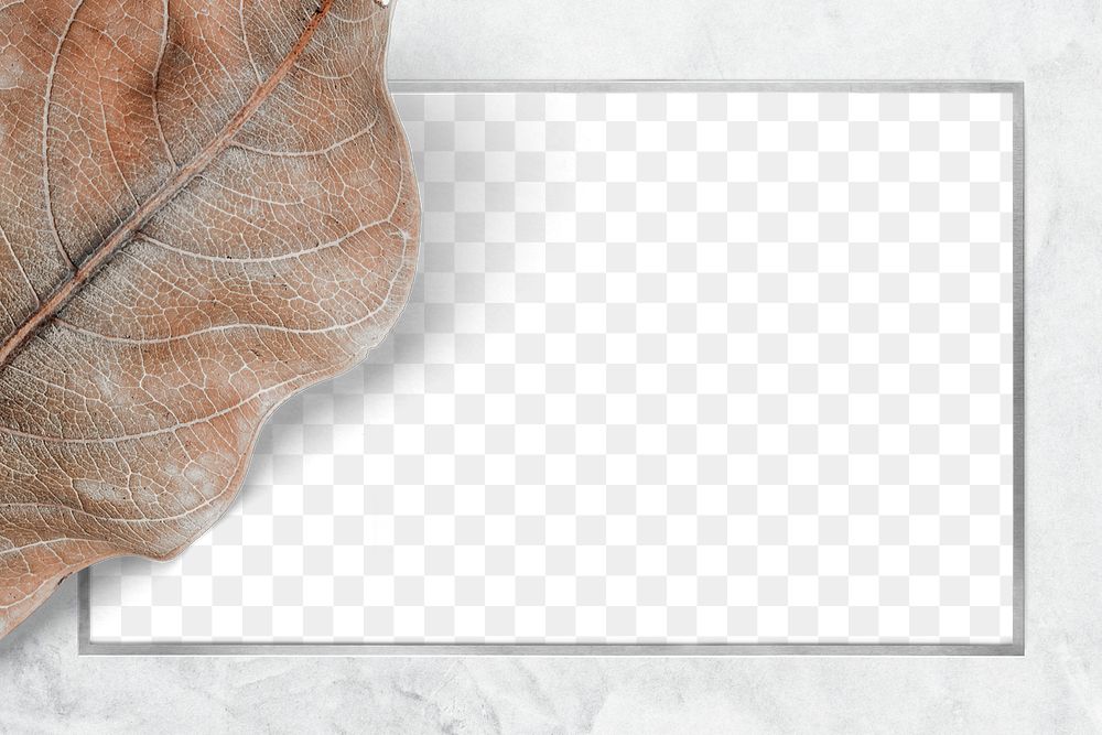 Minimal botanical frame png design