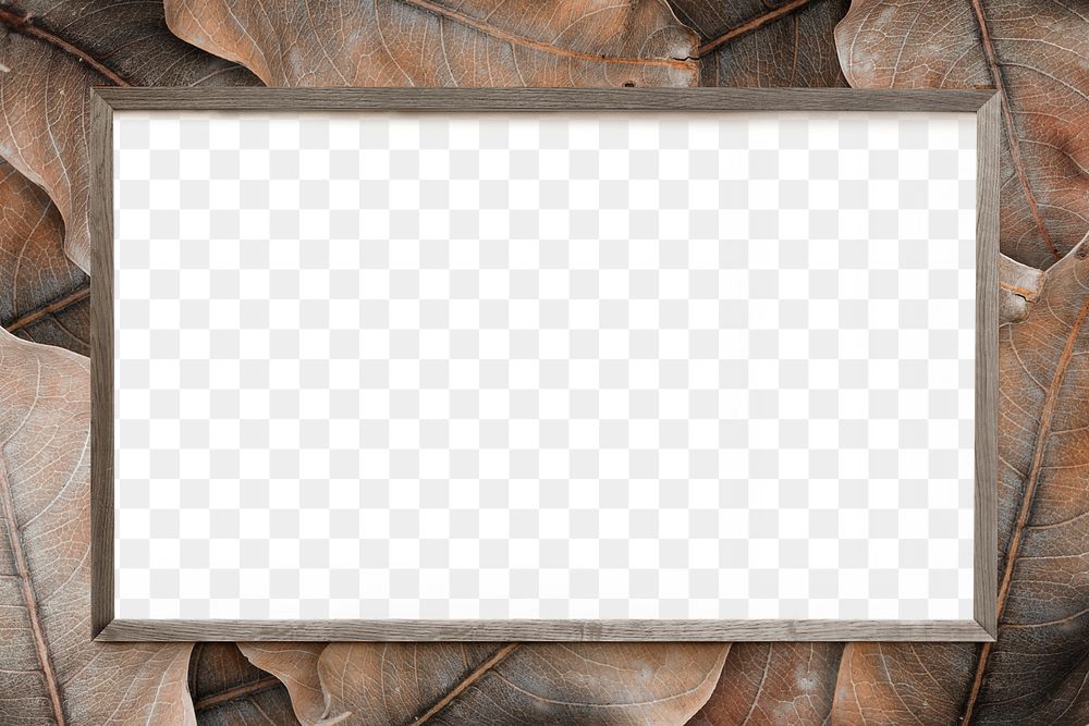 Minimal botanical frame png design