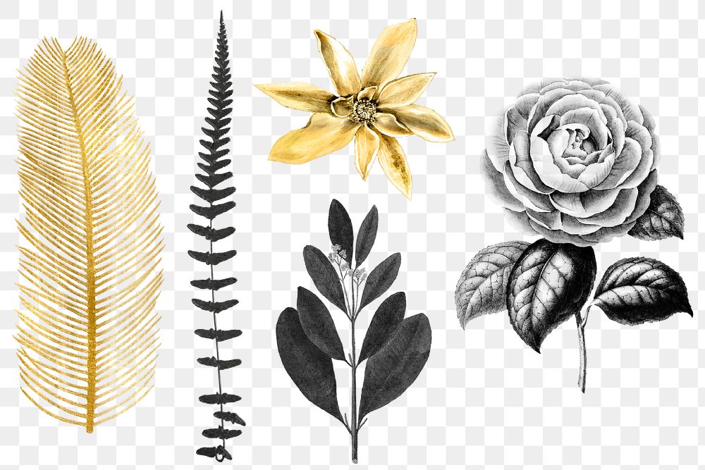 Hand drawn png leaf and flower golden black vintage sticker