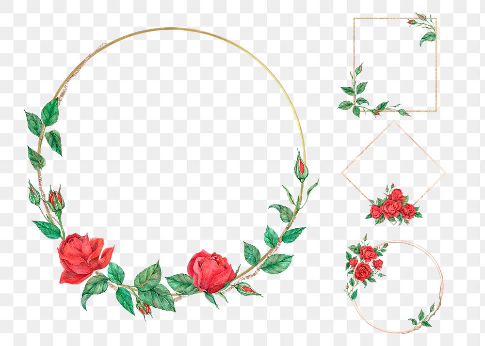 Png red rose on gold frame set