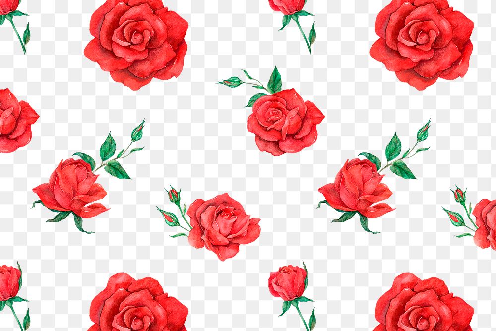 Blooming red rose pattern png transparent background
