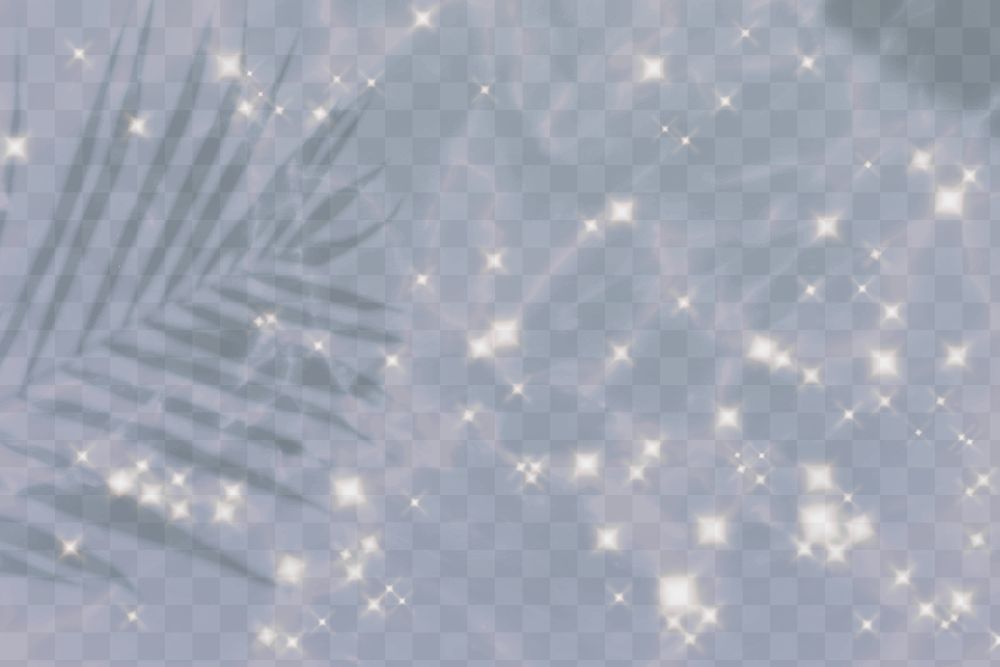 Aesthetic png background of palm leaf shadow with sparkle in blue