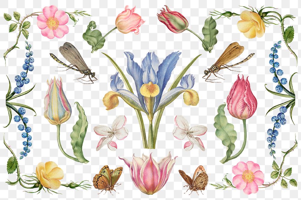 Hand drawn flowers png floral illustration set, remix from The Model Book of Calligraphy Joris Hoefnagel and Georg Bocskay