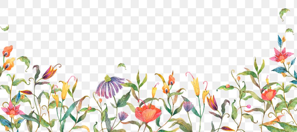Png watercolor floral border frame