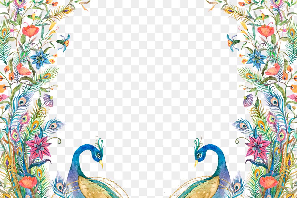 Png frame with watercolor peacock and flower border on transparent background