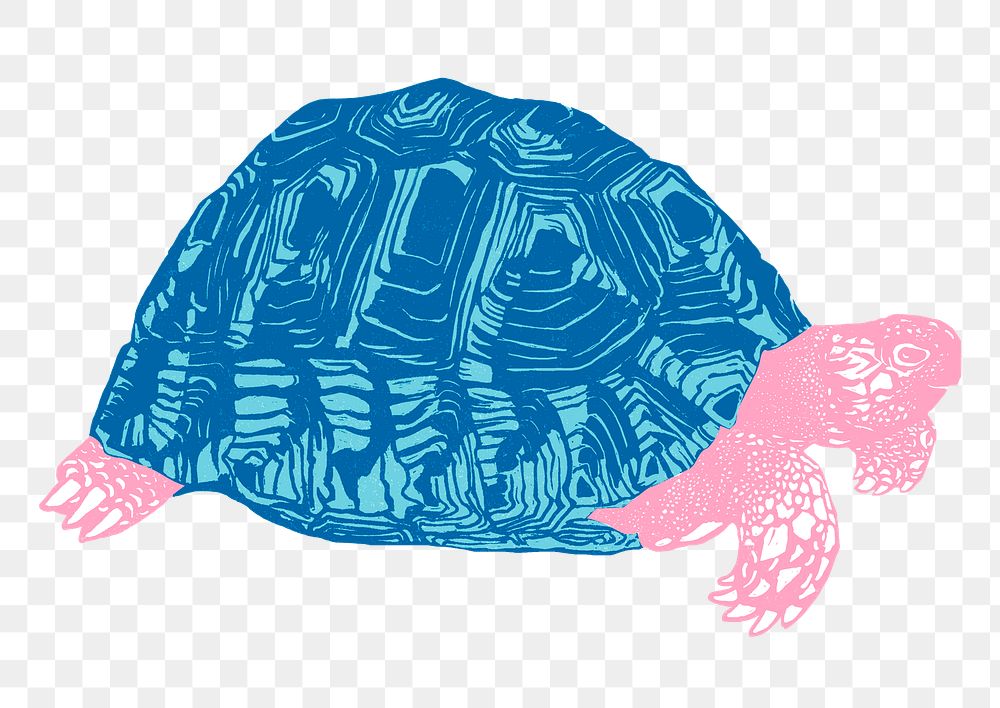 Vintage blue turtle png animal sticker hand drawn