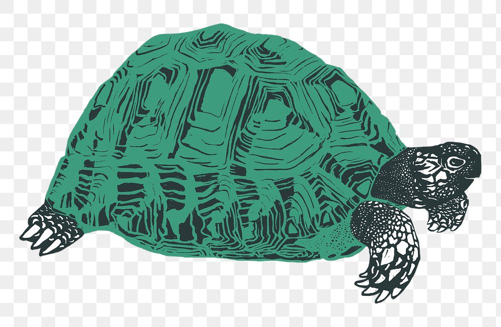 Retro green turtle png sticker stencil pattern hand drawn