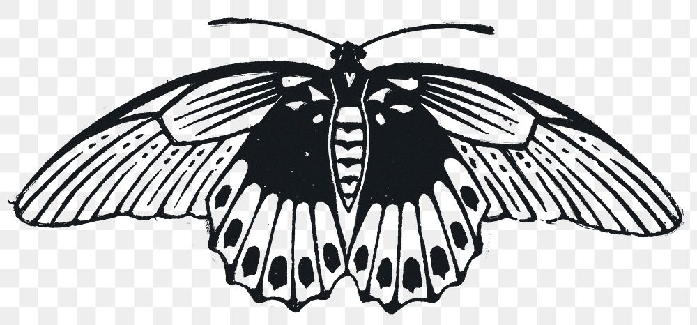 Moth png sticker black linocut style hand drawn clipart