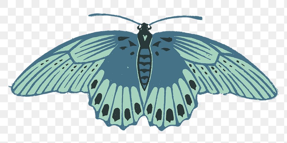 Blue moth png sticker vintage hand drawn illustration