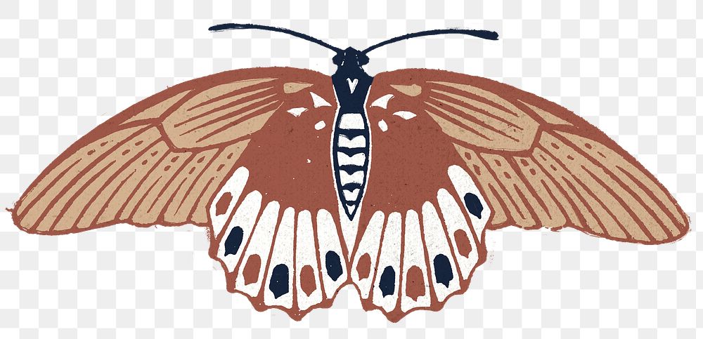 Brown moth png sticker vintage stencil pattern