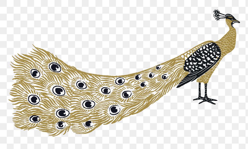 Peacock animal sticker png vintage gold