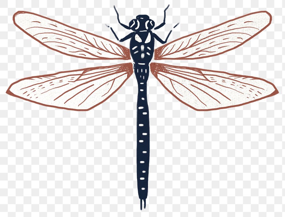 Vintage dragonfly linocut png sticker illustration