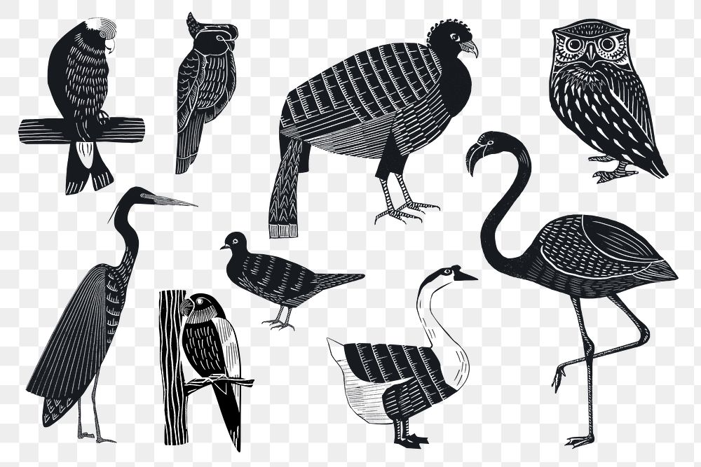 Birds png sticker black linocut stencil pattern clipart set