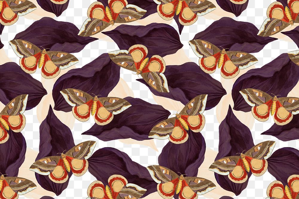 Vintage butterfly png floral pattern, remix from The Naturalist's Miscellany by George Shaw
