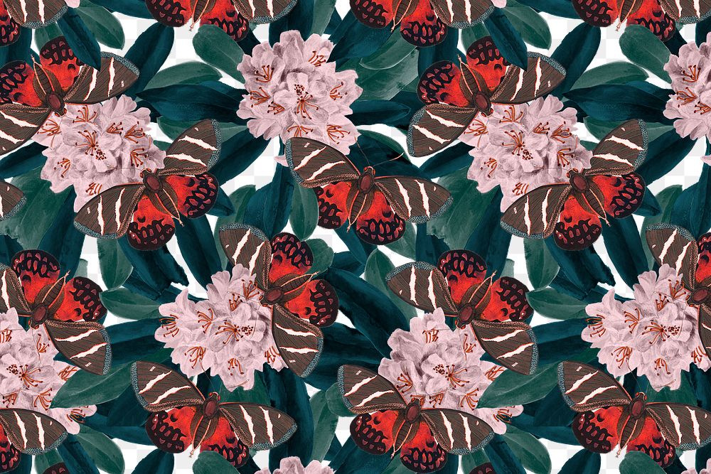 Abstract butterfly png floral pattern, vintage remix from The Naturalist's Miscellany by George Shaw