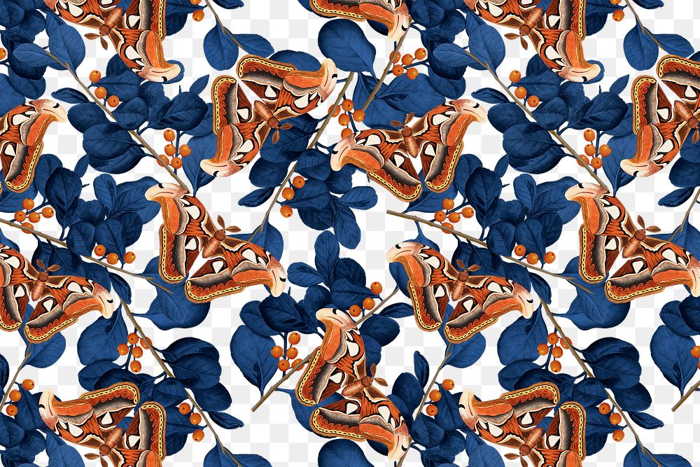 Abstract butterfly png floral pattern, vintage remix from The Naturalist's Miscellany by George Shaw