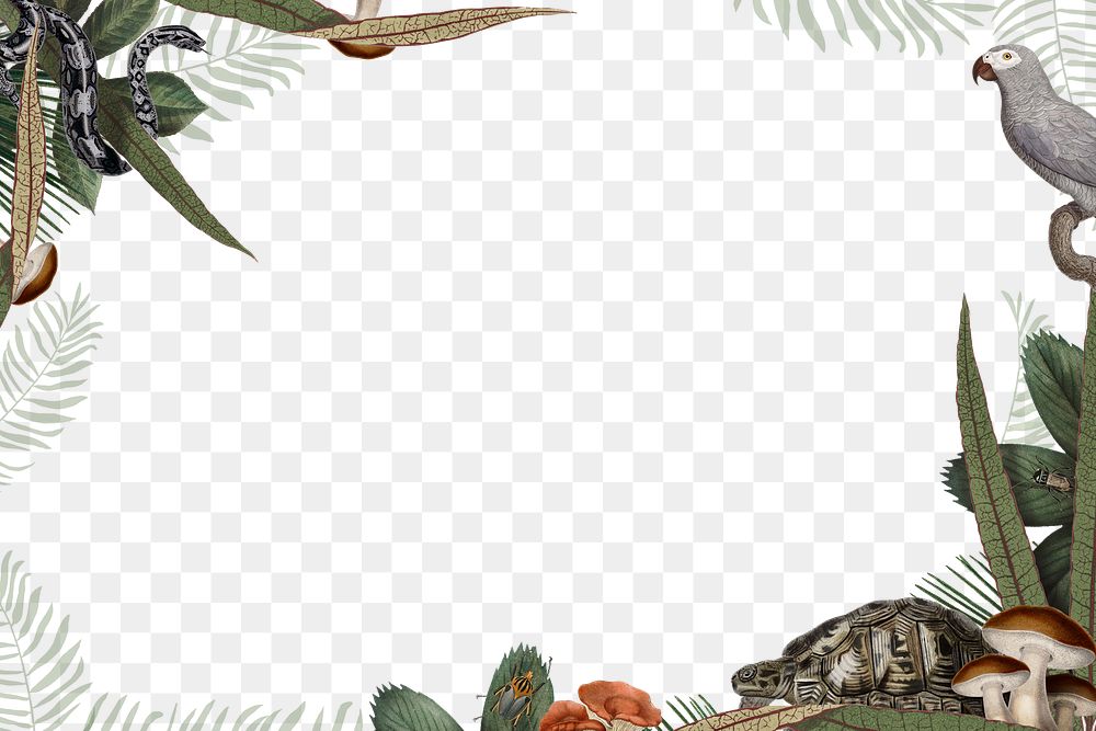 Jungle animals frame png transparent background