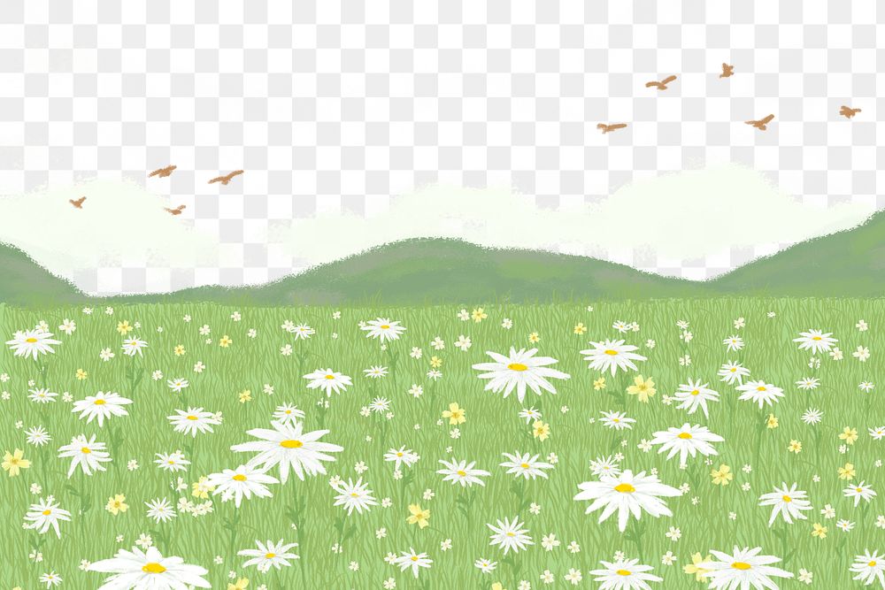 Png blooming daisy field transparent with mountain at the back