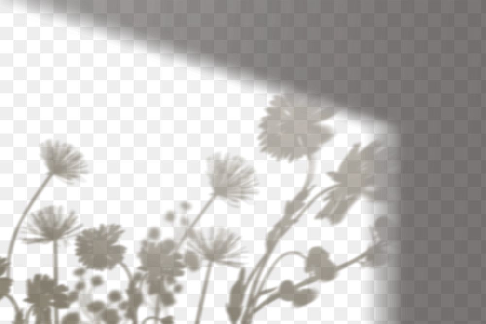 PNG flower field shadow design element