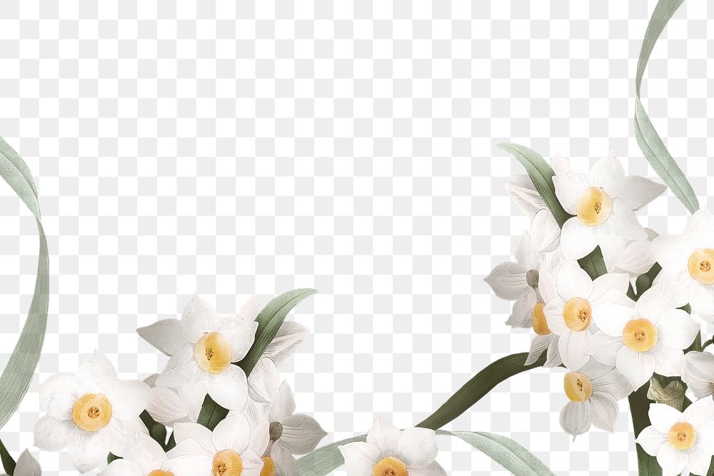 Png Easter border with daffodil on transparent background