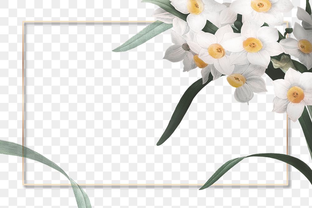 Png wedding frame with daffodil border transparent background